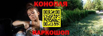 прущие грибы Братск