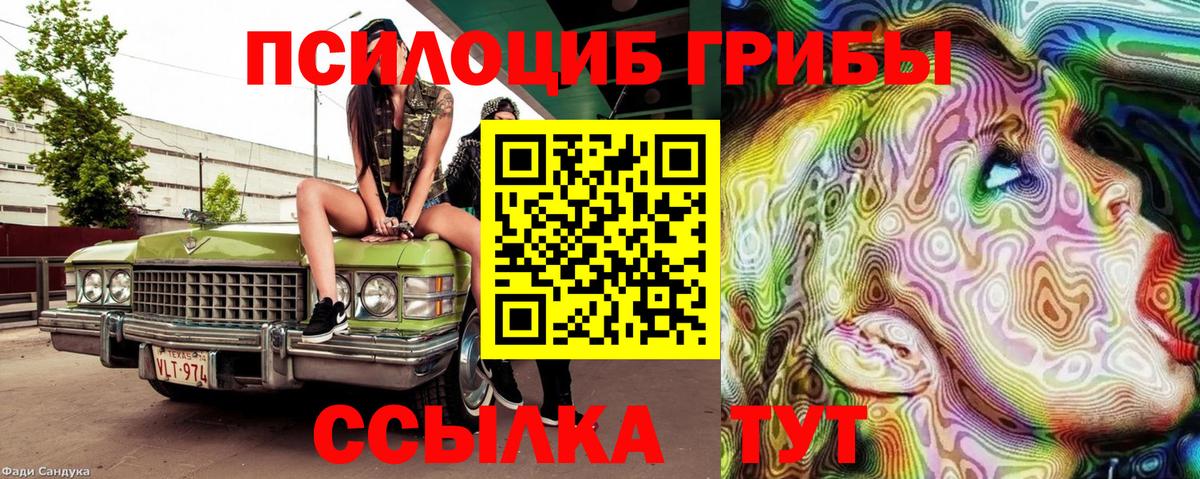 Междуреченск  сколько стоит  Вход с VPN  Псилоцибиновые грибы ЛСД 