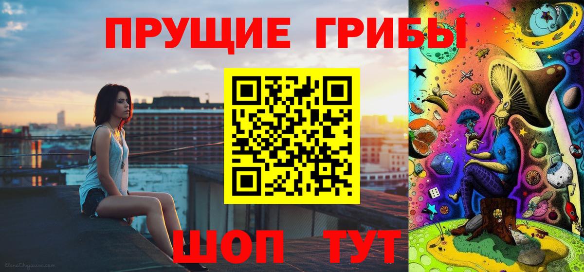 Псилоцибиновые грибы Psilocybe Междуреченск